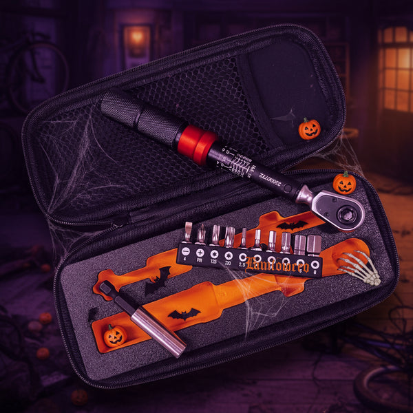 Tool kit with ratchet wrench and bits in an open case on a white background